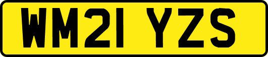 WM21YZS