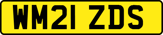 WM21ZDS