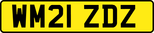 WM21ZDZ