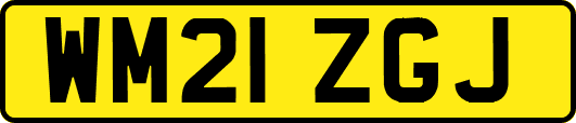 WM21ZGJ