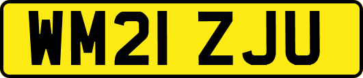 WM21ZJU