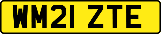 WM21ZTE
