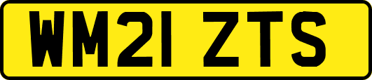 WM21ZTS