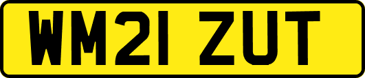WM21ZUT