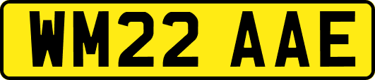 WM22AAE