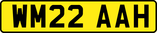 WM22AAH