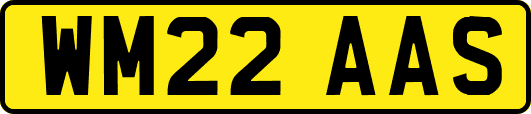 WM22AAS
