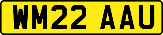 WM22AAU