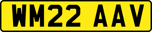 WM22AAV