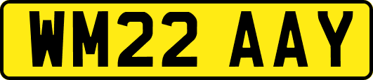 WM22AAY