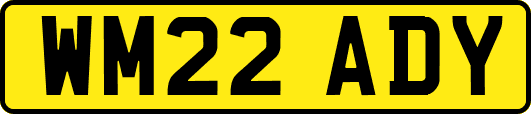 WM22ADY