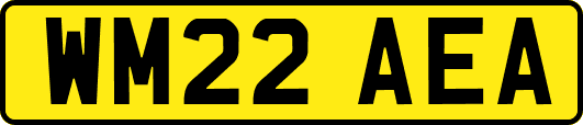 WM22AEA
