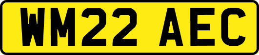 WM22AEC