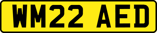 WM22AED
