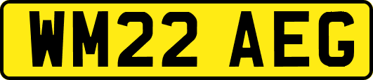 WM22AEG