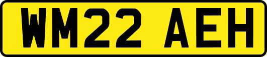 WM22AEH