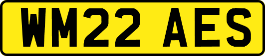 WM22AES