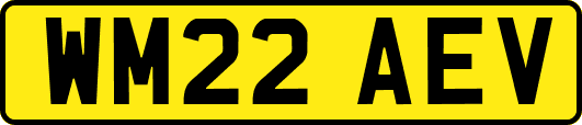 WM22AEV