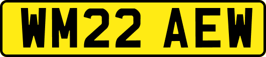WM22AEW