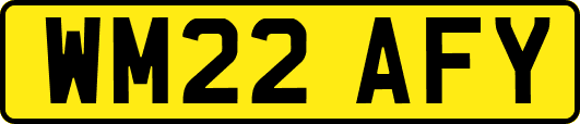WM22AFY