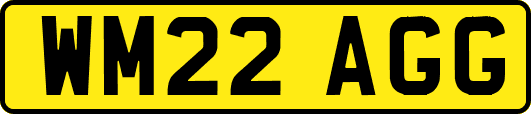 WM22AGG