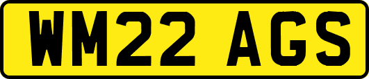 WM22AGS