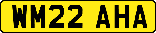 WM22AHA