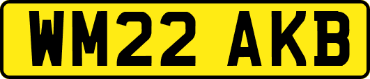 WM22AKB