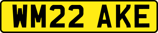 WM22AKE