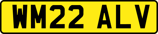WM22ALV