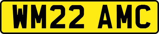 WM22AMC