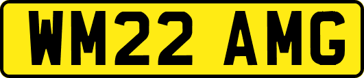 WM22AMG