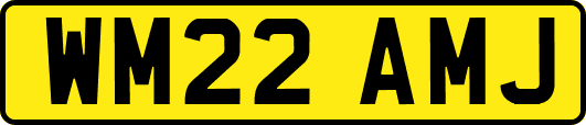 WM22AMJ