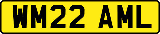 WM22AML