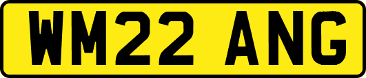 WM22ANG