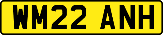 WM22ANH