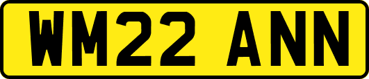 WM22ANN