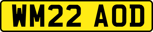 WM22AOD