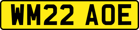 WM22AOE