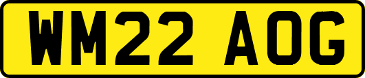 WM22AOG