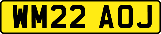 WM22AOJ