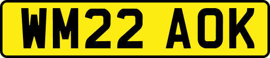 WM22AOK