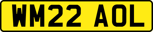 WM22AOL