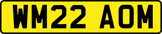 WM22AOM