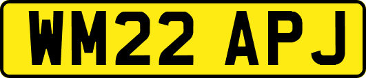 WM22APJ