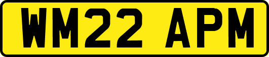 WM22APM