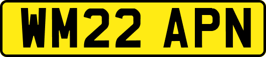 WM22APN