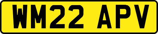 WM22APV