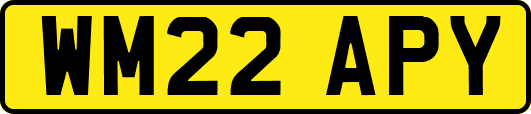 WM22APY