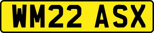 WM22ASX